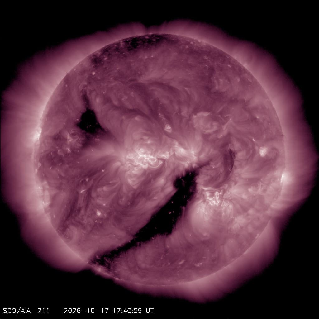 The sun, AIA 211, latest image from NASA SDO
