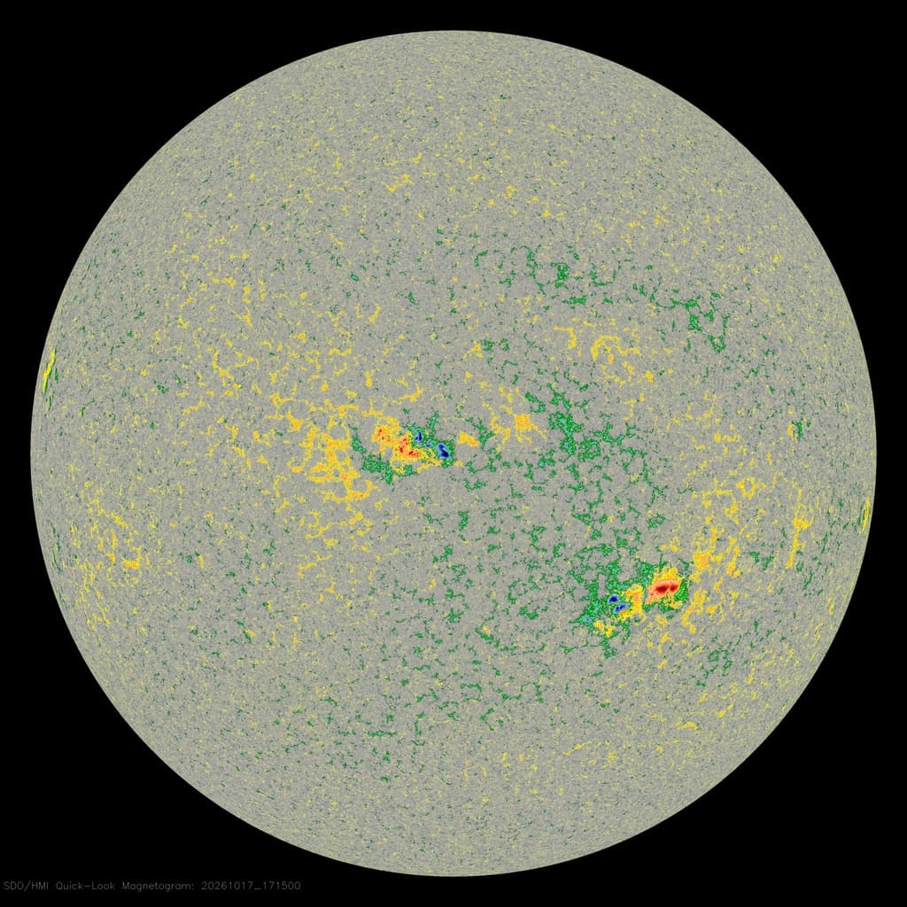 The sun, HMI colorized magnetogram, latest image from NASA SDO
